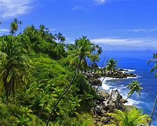 Image result for Pantai Grute Aceh