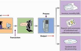 Image result for Database Information System Example