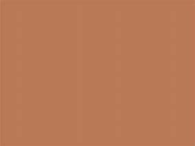 Image result for Brown Colored Flowers