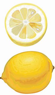 Image result for How to Draw a Lemon Easy