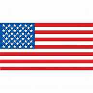 Image result for American Flag Cartoon Clip Art