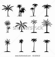 Image result for One Line Simple Florida Palm Tree Drawing for Tattoo