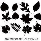 Image result for Leaf Pile Stock Art