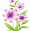 Image result for Transparent Drawing Brown Flowers