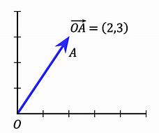 Image result for Vector Definition in Animation