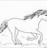 Image result for Cute Horse Coloring Pages