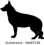 Image result for German Shepherd Variations