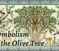 Image result for Olive Tree Branches Symbolism