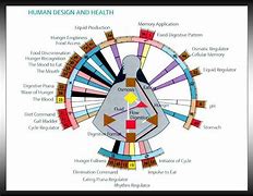 Image result for Human Design Variable Chart