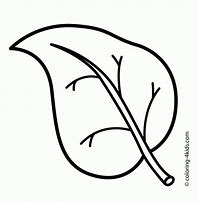 Image result for Coloring Picture of Leaf