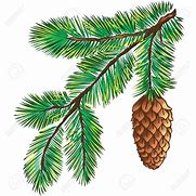 Image result for Pine Tree Leaves Vector