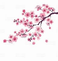 Image result for Cherry Blossom Branch Illustration