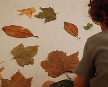 Image result for Autumn Leaf Rubbings