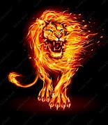 Image result for Animated Fire Lion