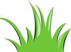 Image result for Grass Border Transparent