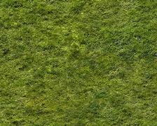 Image result for Bush Texture A4 Size