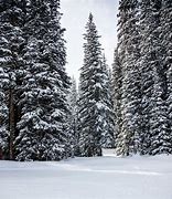 Image result for Vail Ski Resort Trail Map