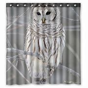 Image result for Owl Perch