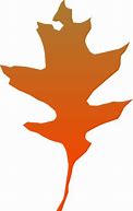 Image result for Leaf Graphic Design