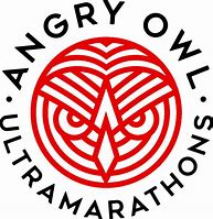 Image result for Angry Owl Eyes Artwork