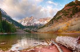 Image result for Aspen Grove Phone Wallpaper