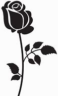 Image result for Black Beauty Rose