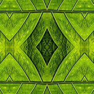 Image result for Tea Leaf Pattern