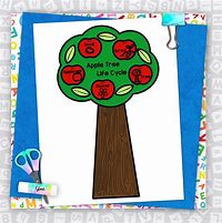 Image result for Apple Tree Life Cycle