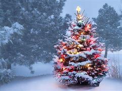 Image result for Child Decorating a Christmas Tree