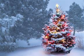 Image result for Elegant Christmas Tree