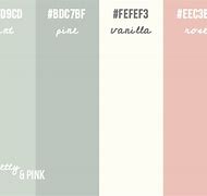 Image result for Color Palette 2 Colors