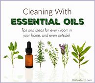 Image result for Best Essential Oils for Cleaning