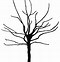 Image result for Coloring Page of Branch