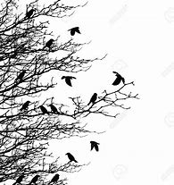 Image result for Tree and Bird Silhouette Free SVG