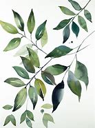 Image result for vine leaves watercolor