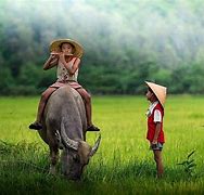 Image result for Tam AM La Viet Nam Instrument