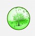 Image result for Big Tree Branch Icon