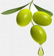 Image result for Oilve Branch Clip Art