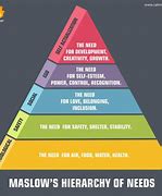 Image result for Modern Human Hierarchy Work-Class