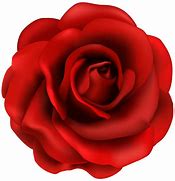 Image result for Free Clip Art Flowers Roses