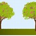 Image result for Apple Tree Silhouette Vector