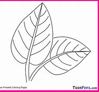 Image result for Coloring Picture of Leaf