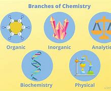 Image result for Branches of Science Chart