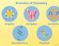 Image result for Branches of Science Activity