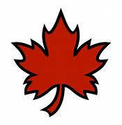 Image result for Vector Legnth Maple