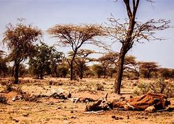 Image result for Kenya Climate Map