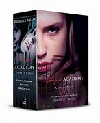 Image result for Vampire Academy Book Series