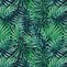 Image result for Red Leaf Palm Tree