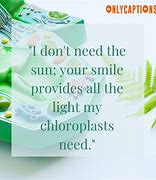 Image result for Chloroplast Pick Up Lines