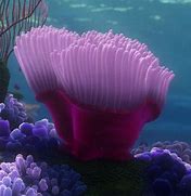 Image result for Finding Nemo Sea Anemone